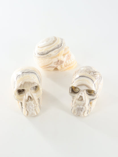Onyx Skulls Set of 3 - Expert Wholesale and Supplier of Wholesale Crystals & Bulk Gemstones, []
