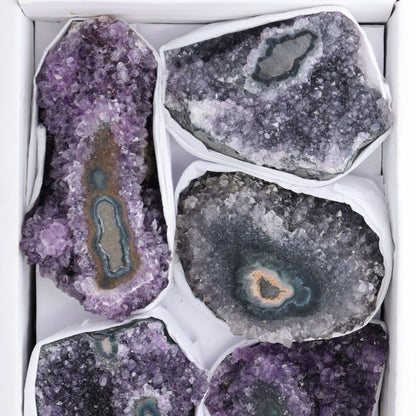 Uruguay Amethyst Clusters with "Eyes" Flat of 7 - Expert Wholesale and Supplier of Wholesale Crystals & Bulk Gemstones, ["Amethyst","Amethyst Eyes","Clusters","Uruguay"]