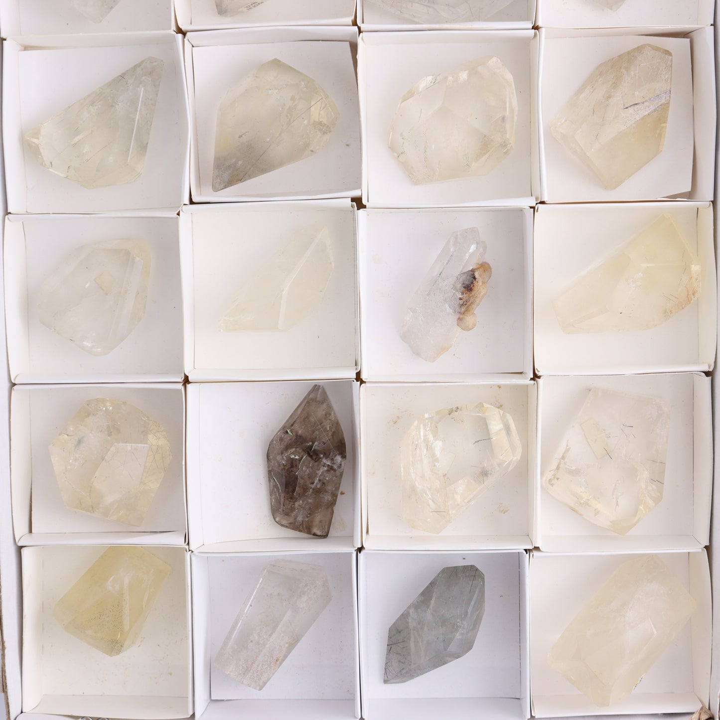 Quartz with Inclusions Feeforms Set of 24