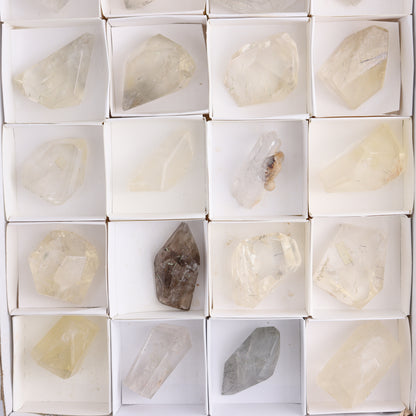 Quartz with Inclusions Feeforms Set of 24