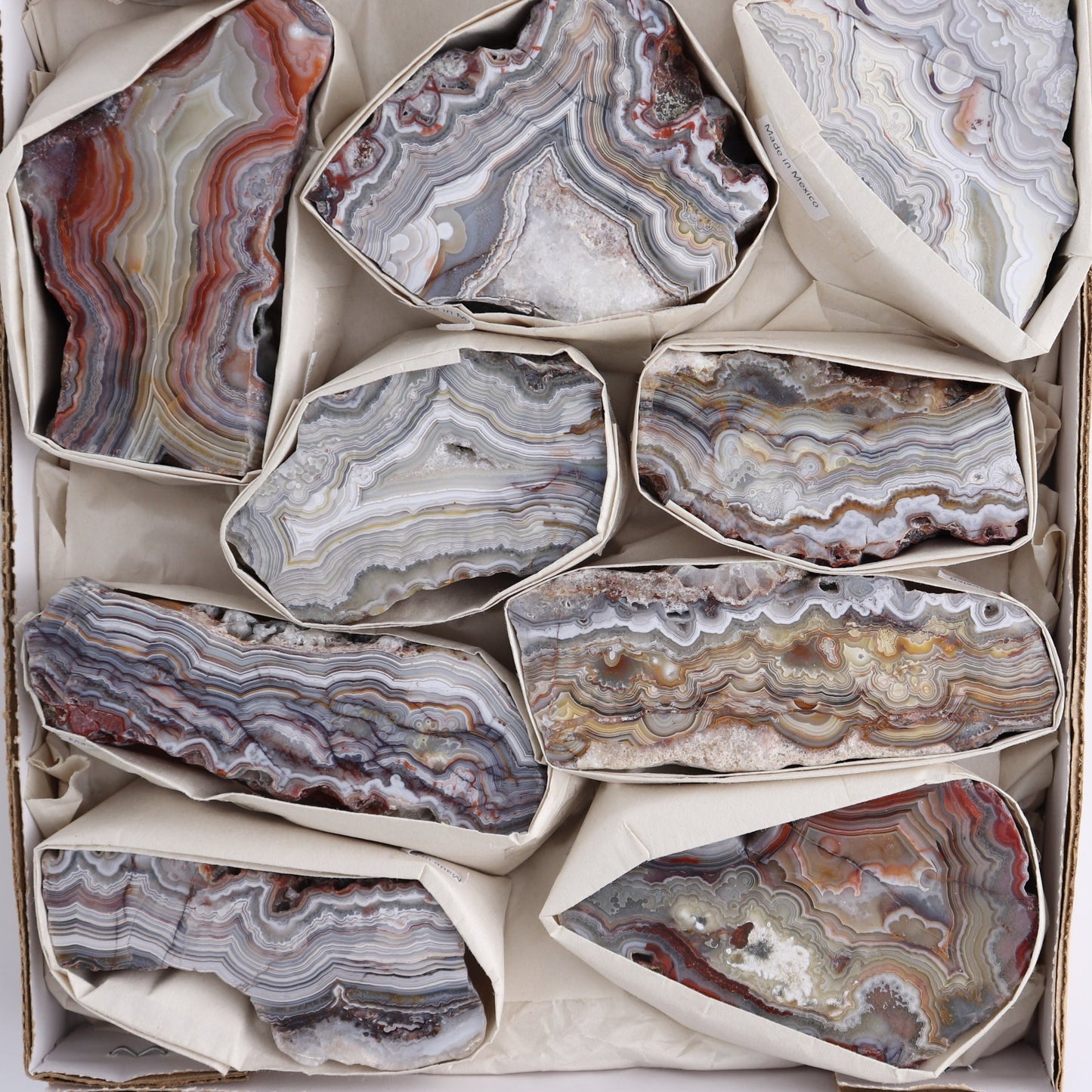 Crazy Lace Agate Flat of 11