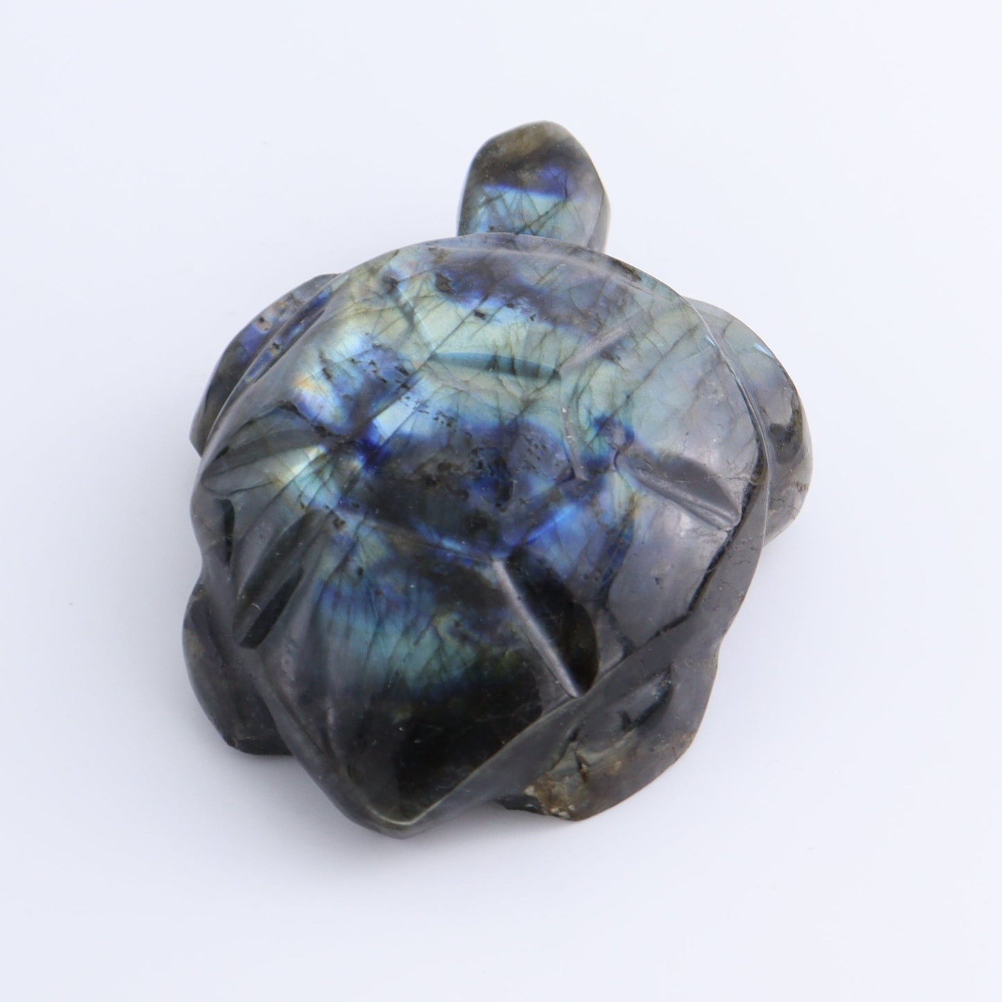 Labradorite Turtles Set of 5
