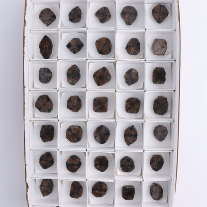 Chiastolite Flat of 35 - Expert Wholesale and Supplier of Wholesale Crystals & Bulk Gemstones, ["chiastolite","China","flat","Flats"]