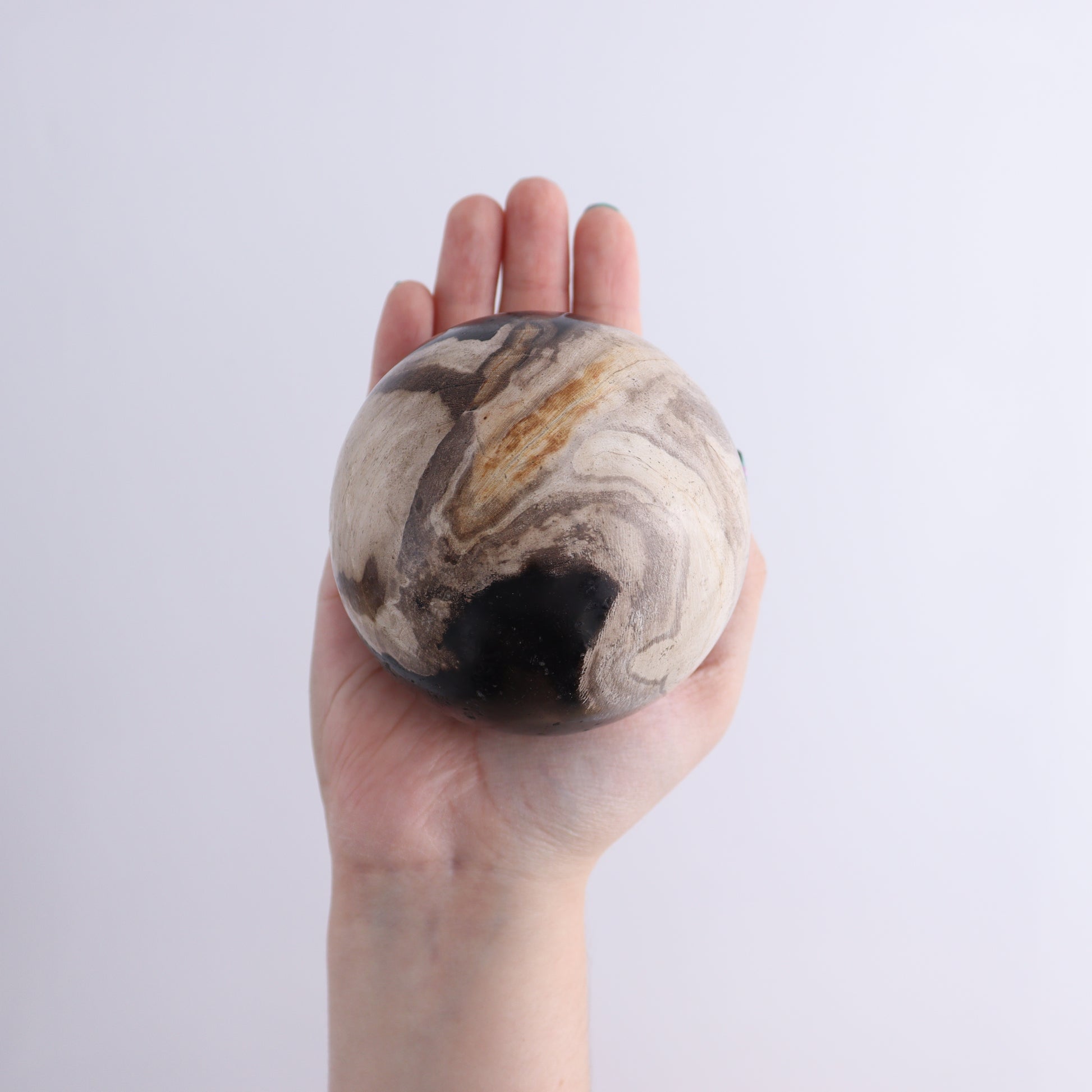 Petrified Wood Spheres Set of 4 - Expert Wholesale and Supplier of Wholesale Crystals & Bulk Gemstones, ["Indonesia","Petrified Wood","Spheres"]