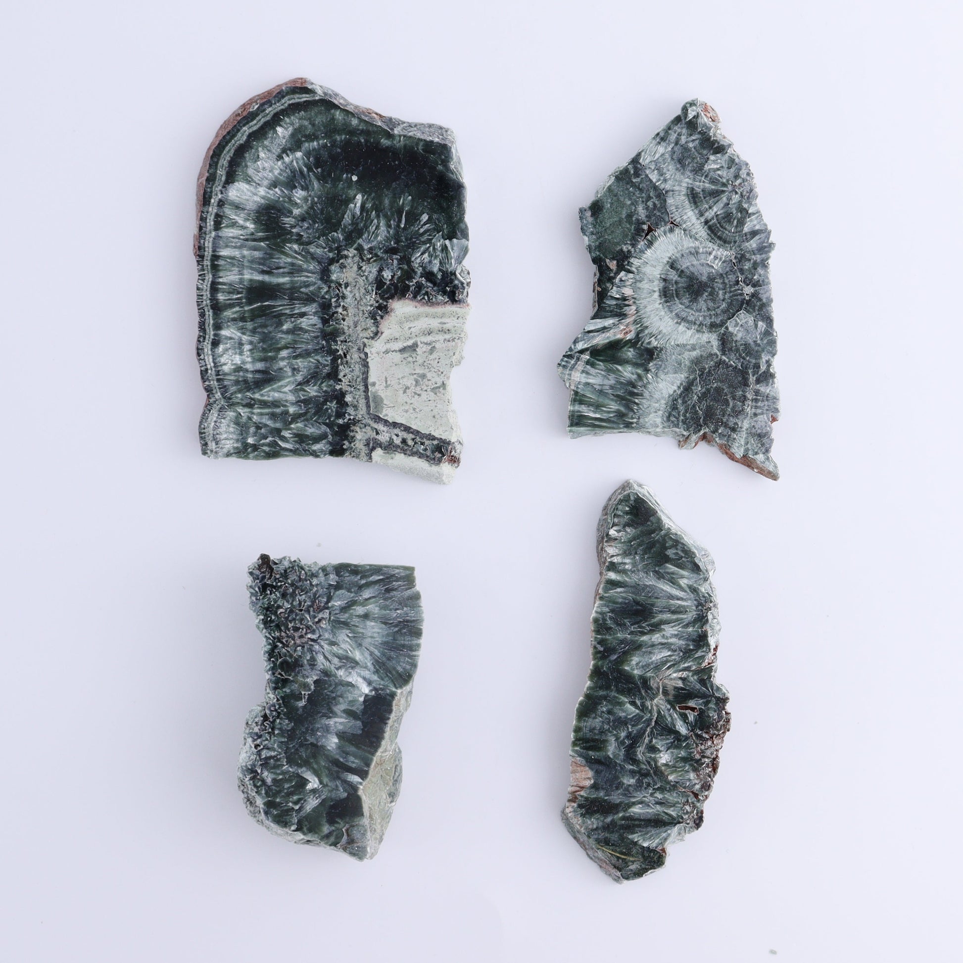 Seraphinite Slices Set of 12 - Expert Wholesale and Supplier of Wholesale Crystals & Bulk Gemstones, ["Russia","Seraphinite","Slices and Slabs"]