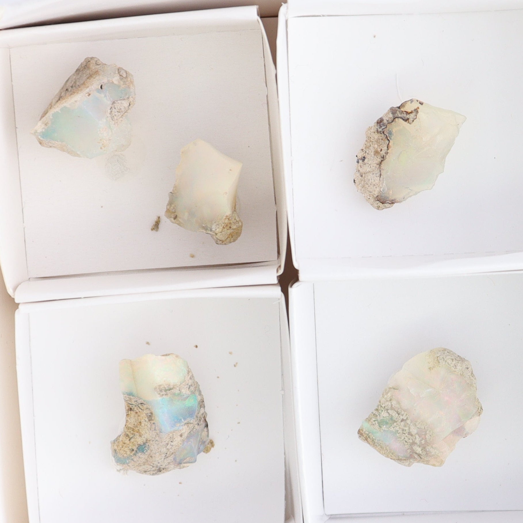 Ethiopian Opal Set of 10 - Expert Wholesale and Supplier of Wholesale Crystals & Bulk Gemstones, ["Ethiopia","ethiopian opal","Opal"]