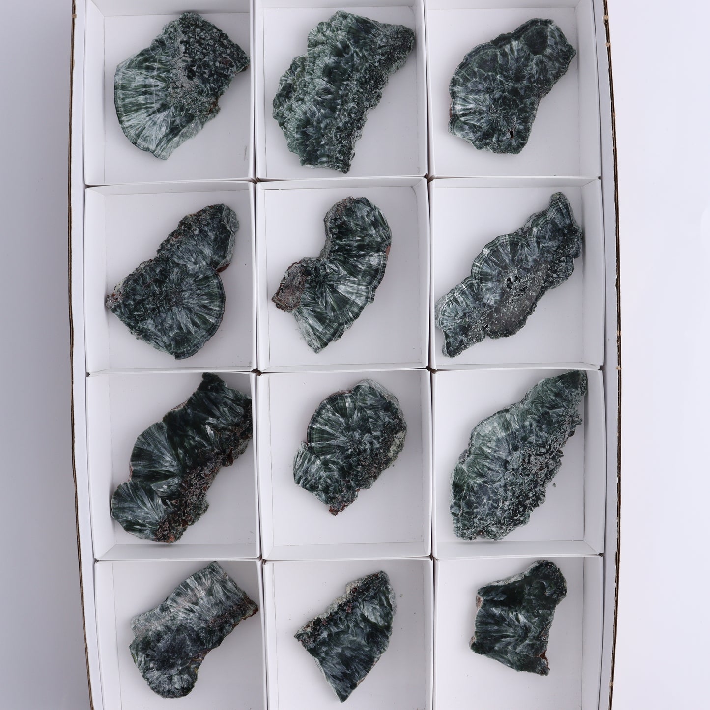 Seraphinite Slices Set of 12 - Expert Wholesale and Supplier of Wholesale Crystals & Bulk Gemstones, ["Russia","Seraphinite","Slices and Slabs"]