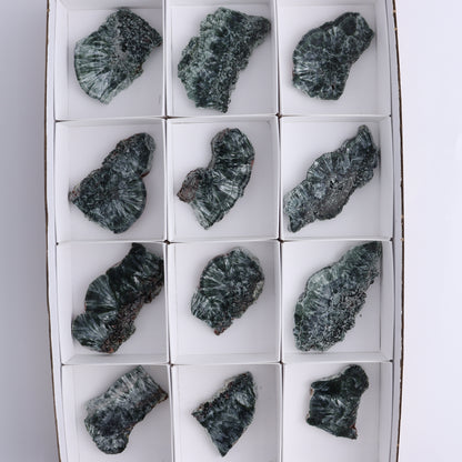 Seraphinite Slices Set of 12 - Expert Wholesale and Supplier of Wholesale Crystals & Bulk Gemstones, ["Russia","Seraphinite","Slices and Slabs"]