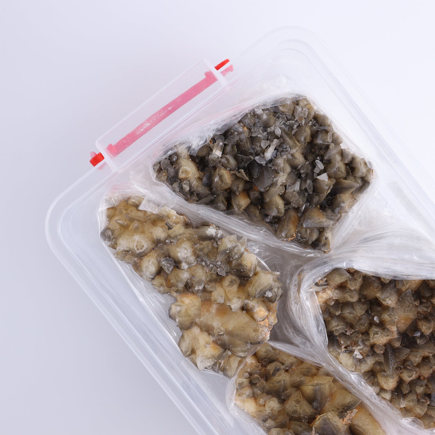 Dogtooh Calcite Flat from Morocco - Expert Wholesale and Supplier of Wholesale Crystals & Bulk Gemstones, ["Calcite","Dogtooth Calcite","Morocco"]