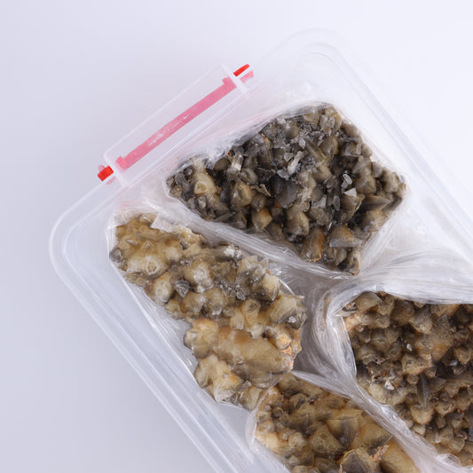 Dogtooh Calcite Flat from Morocco - Expert Wholesale and Supplier of Wholesale Crystals & Bulk Gemstones, ["Calcite","Dogtooth Calcite","Morocco"]