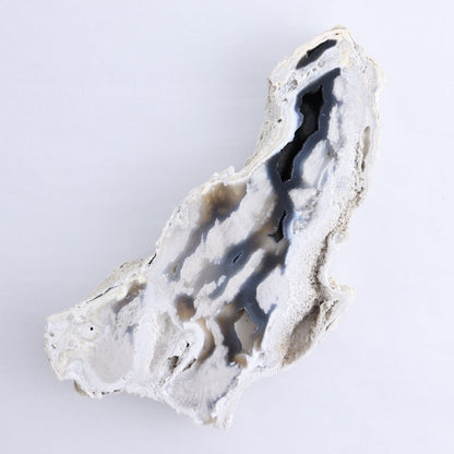 Agatized Coral Set of 5