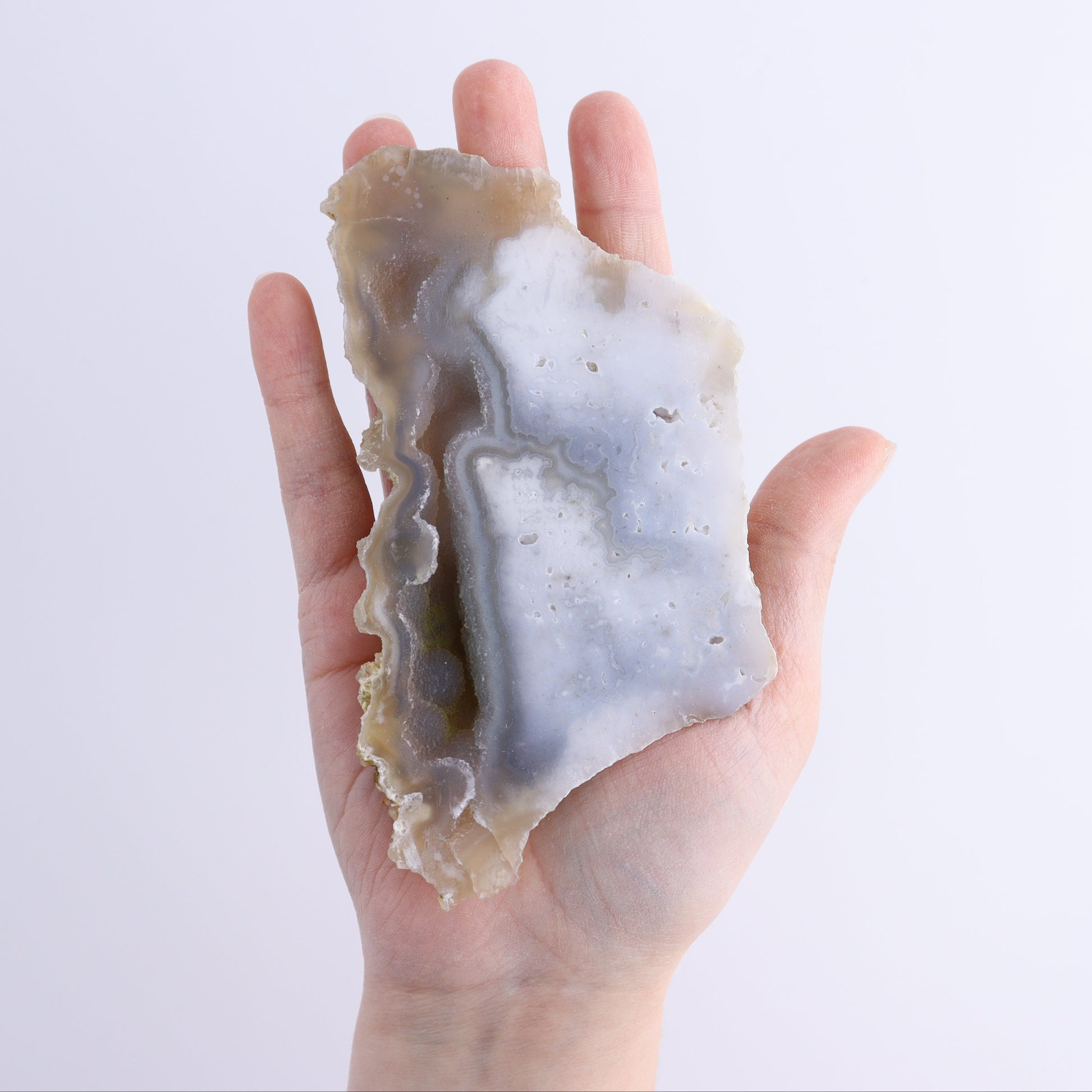 Agatized Coral Flat - Expert Wholesale and Supplier of Wholesale Crystals & Bulk Gemstones, ["Agate","Agatized Coral","Coral","United States"]