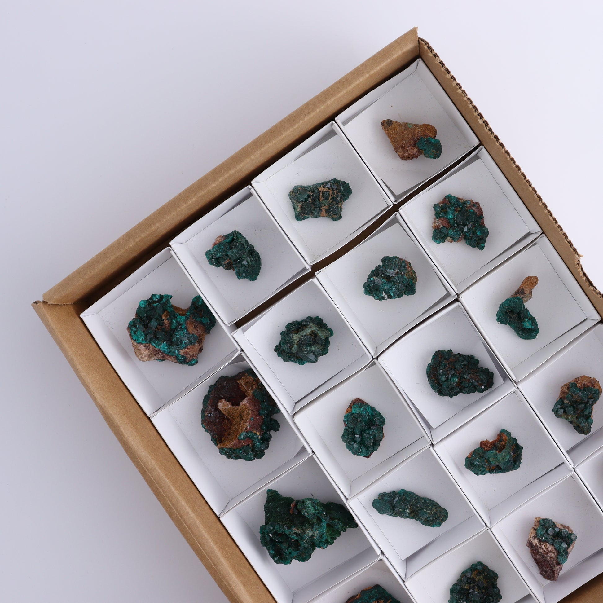 Dioptase Set of 19 - Expert Wholesale and Supplier of Wholesale Crystals & Bulk Gemstones, ["dioptase","Freeform","Freeforms"]