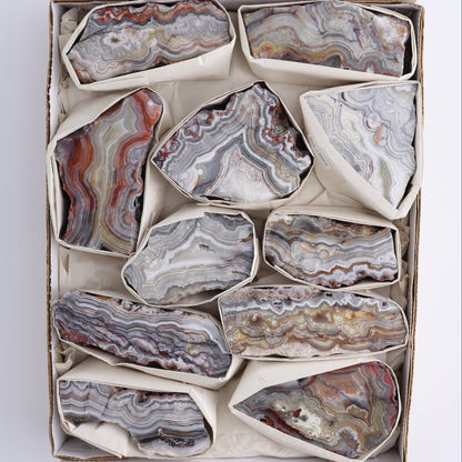Crazy Lace Agate Flat of 11