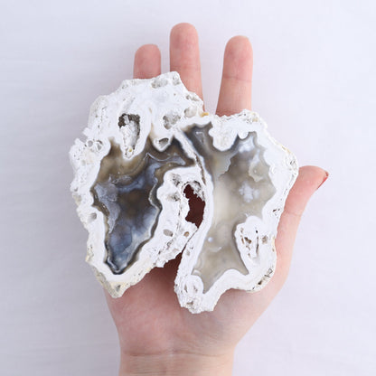 Agatized Coral Set of 3