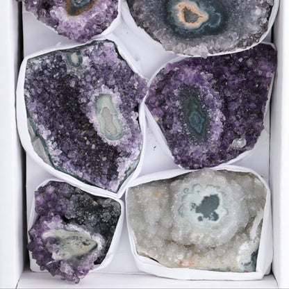Uruguay Amethyst Clusters with "Eyes" Flat of 7 - Expert Wholesale and Supplier of Wholesale Crystals & Bulk Gemstones, ["Amethyst","Amethyst Eyes","Clusters","Uruguay"]