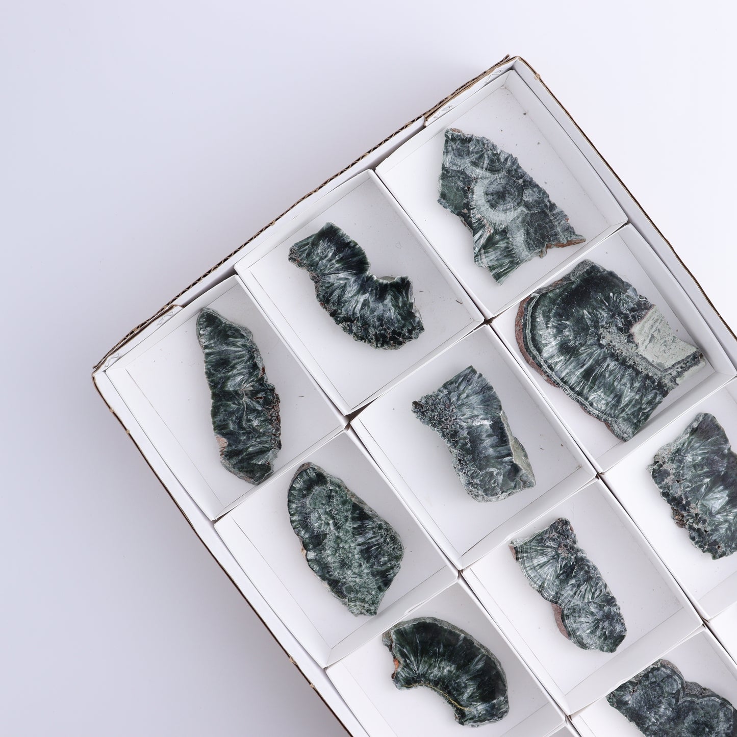 Seraphinite Slices Set of 12 - Expert Wholesale and Supplier of Wholesale Crystals & Bulk Gemstones, ["Russia","Seraphinite","Slices and Slabs"]