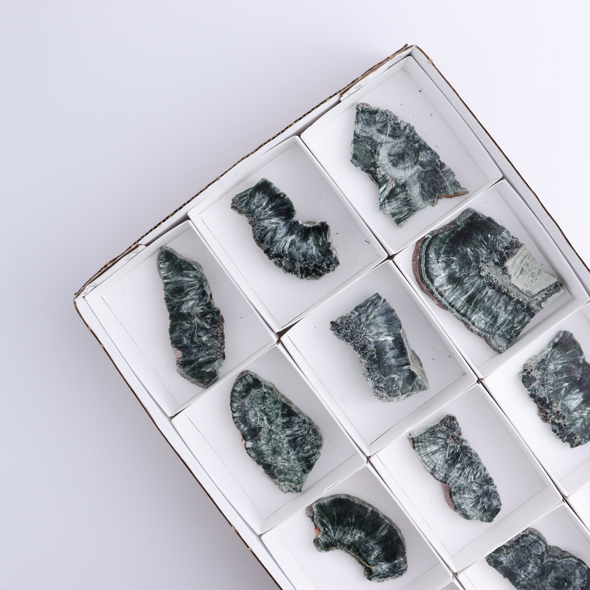 Seraphinite Slices Set of 12 - Expert Wholesale and Supplier of Wholesale Crystals & Bulk Gemstones, ["Russia","Seraphinite","Slices and Slabs"]