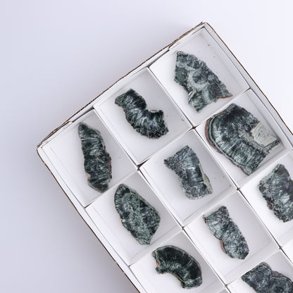 Seraphinite Slices Set of 12 - Expert Wholesale and Supplier of Wholesale Crystals & Bulk Gemstones, ["Russia","Seraphinite","Slices and Slabs"]