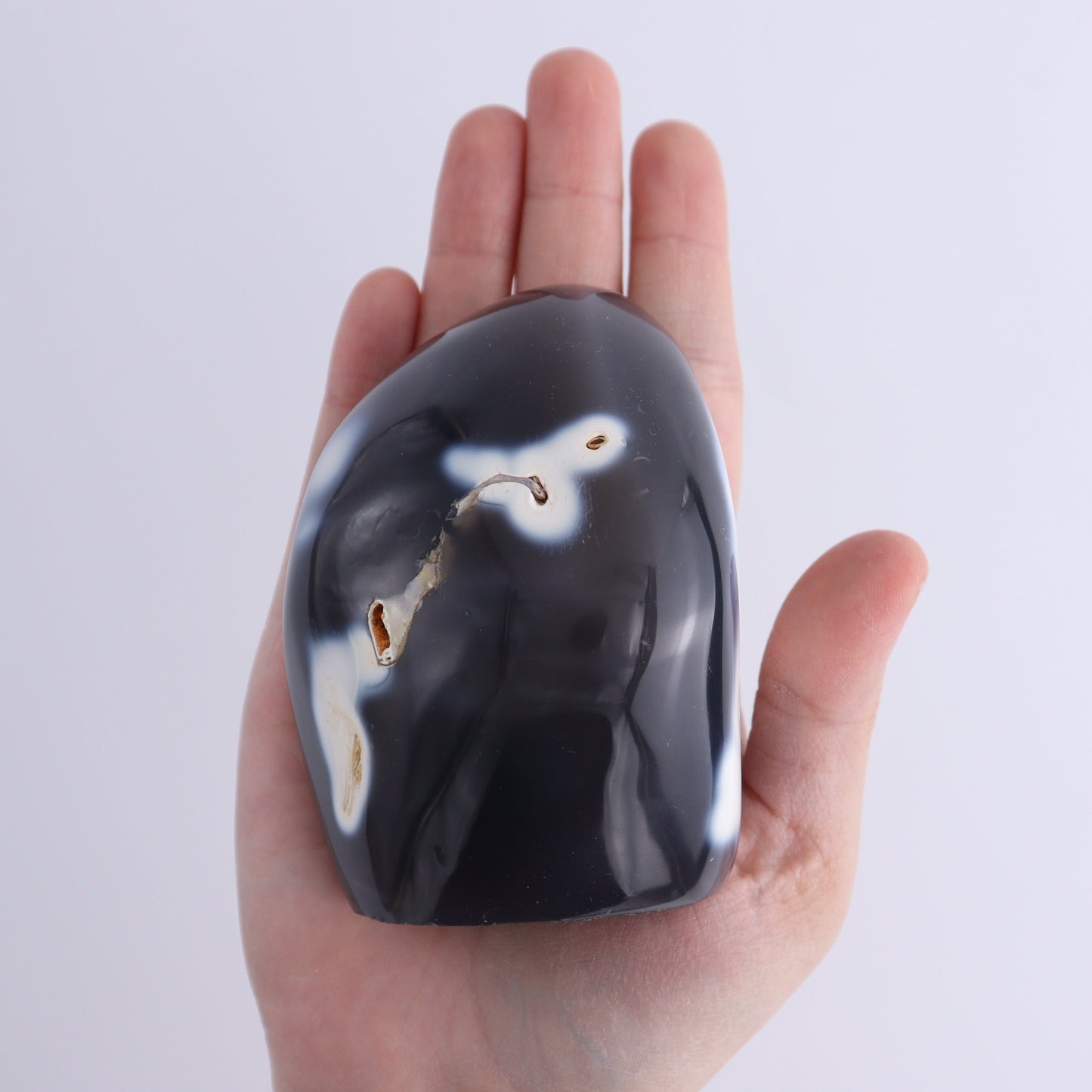 Orca Agate Freeform Set of 5 - Expert Wholesale and Supplier of Wholesale Crystals & Bulk Gemstones, ["close_30","Freeforms","Madagascar","Orca Agate"]