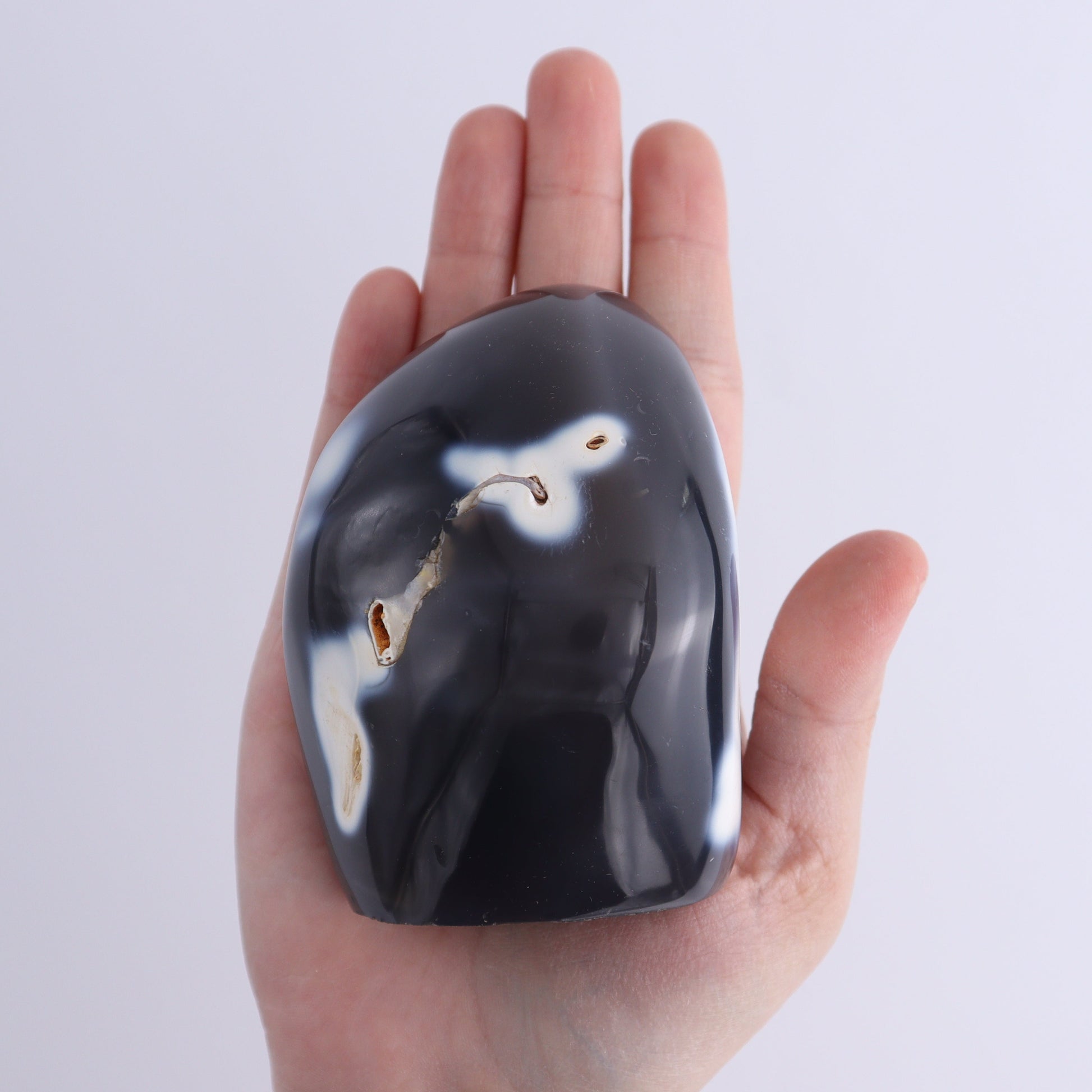 Orca Agate Freeform Set of 5 - Expert Wholesale and Supplier of Wholesale Crystals & Bulk Gemstones, ["close_30","Freeforms","Madagascar","Orca Agate"]