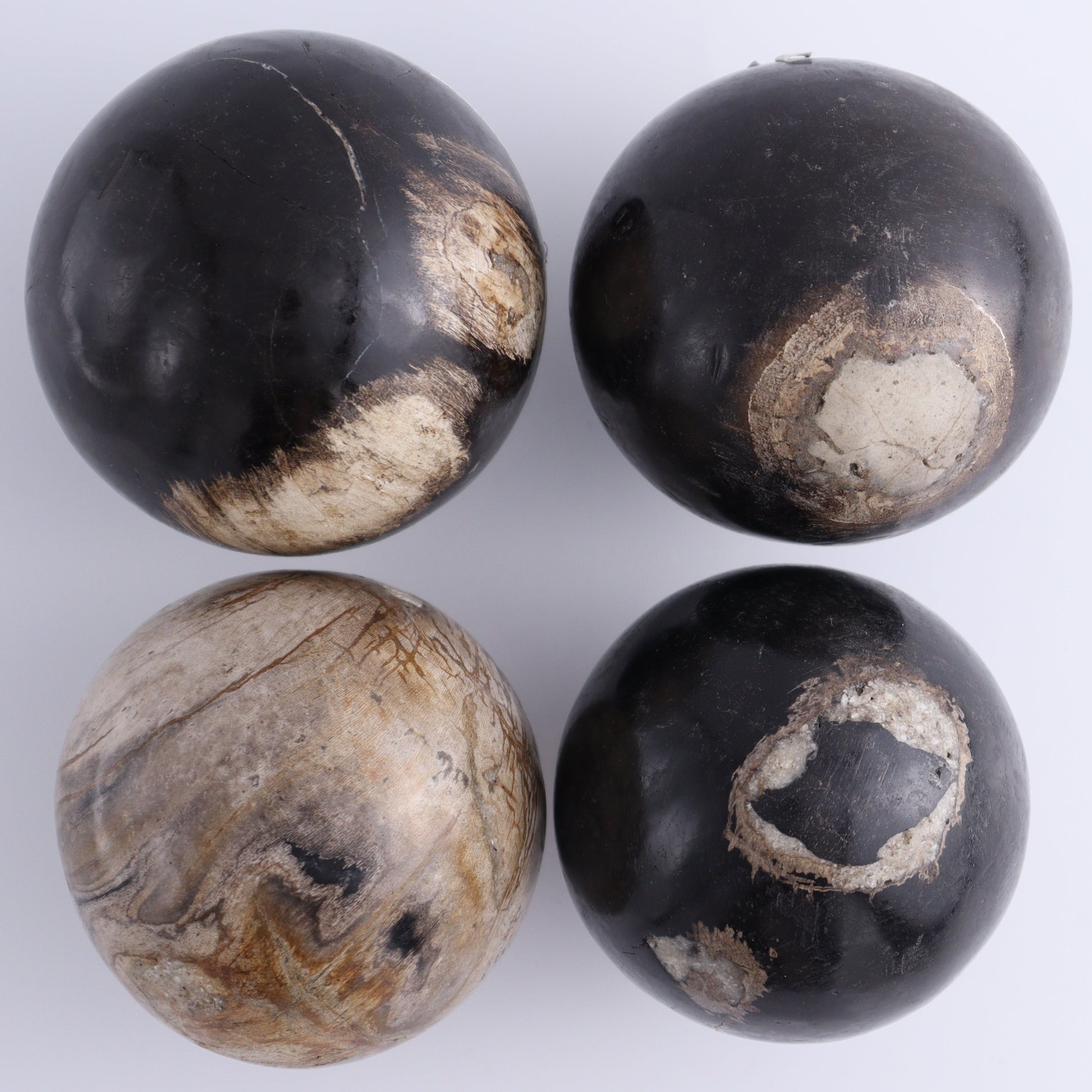 Petrified Wood Spheres Set of 4 - Expert Wholesale and Supplier of Wholesale Crystals & Bulk Gemstones, ["Indonesia","Petrified Wood","Spheres"]