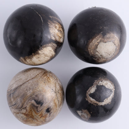 Petrified Wood Spheres Set of 4 - Expert Wholesale and Supplier of Wholesale Crystals & Bulk Gemstones, ["Indonesia","Petrified Wood","Spheres"]
