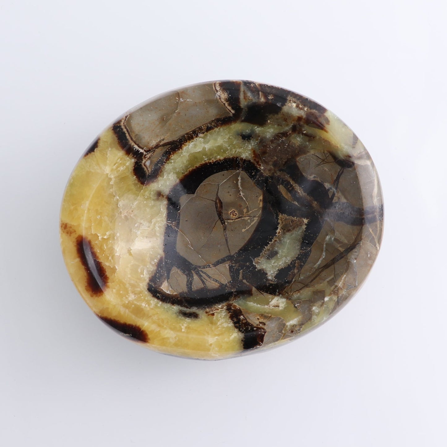 Septarian Bowl 6" | Mi Esperanza Minerals | Supplier of Crystals and Onyx