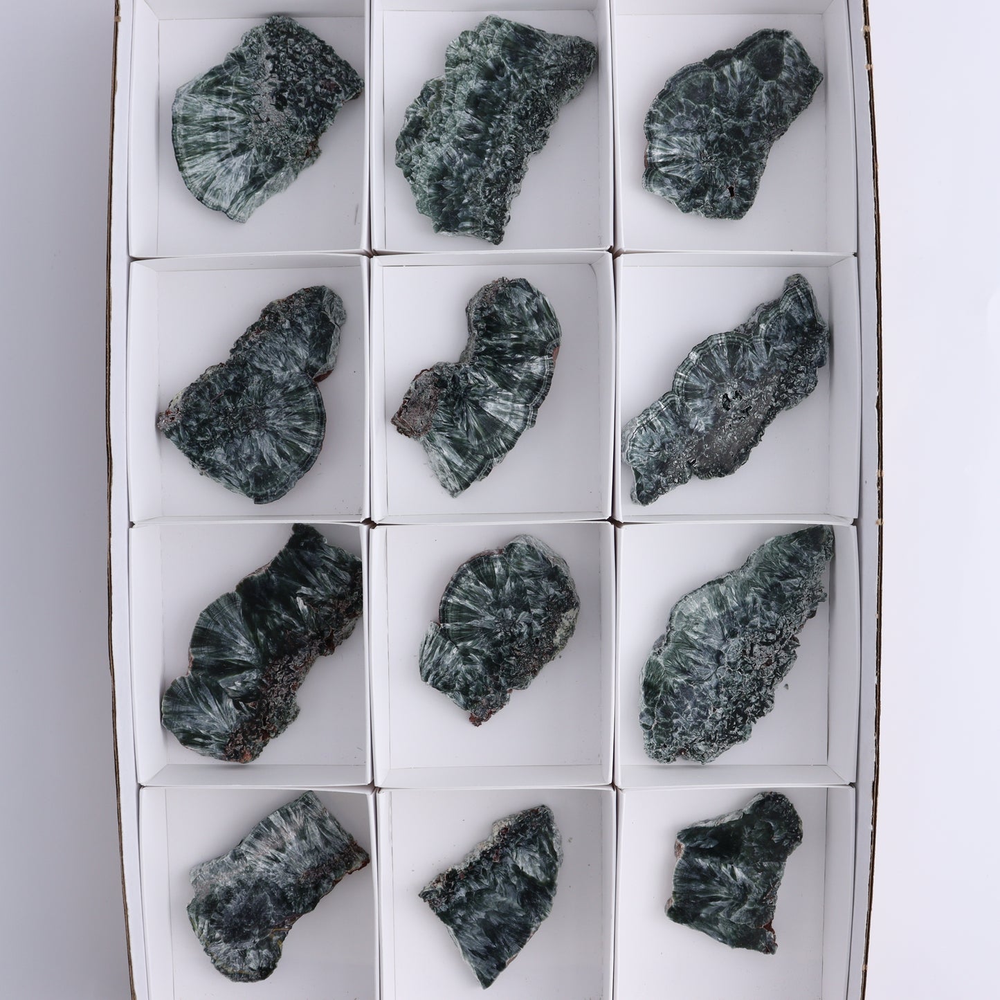 Seraphinite Slices Set of 12 - Expert Wholesale and Supplier of Wholesale Crystals & Bulk Gemstones, ["Russia","Seraphinite","Slices and Slabs"]