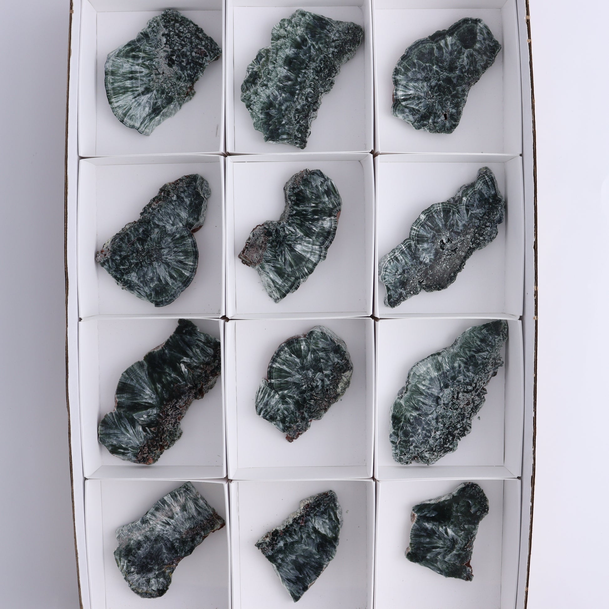 Seraphinite Slices Set of 12 - Expert Wholesale and Supplier of Wholesale Crystals & Bulk Gemstones, ["Russia","Seraphinite","Slices and Slabs"]