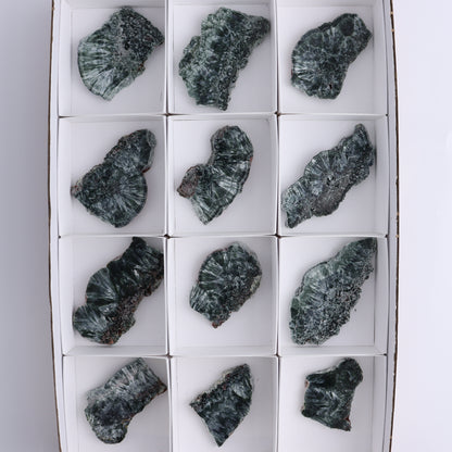 Seraphinite Slices Set of 12 - Expert Wholesale and Supplier of Wholesale Crystals & Bulk Gemstones, ["Russia","Seraphinite","Slices and Slabs"]