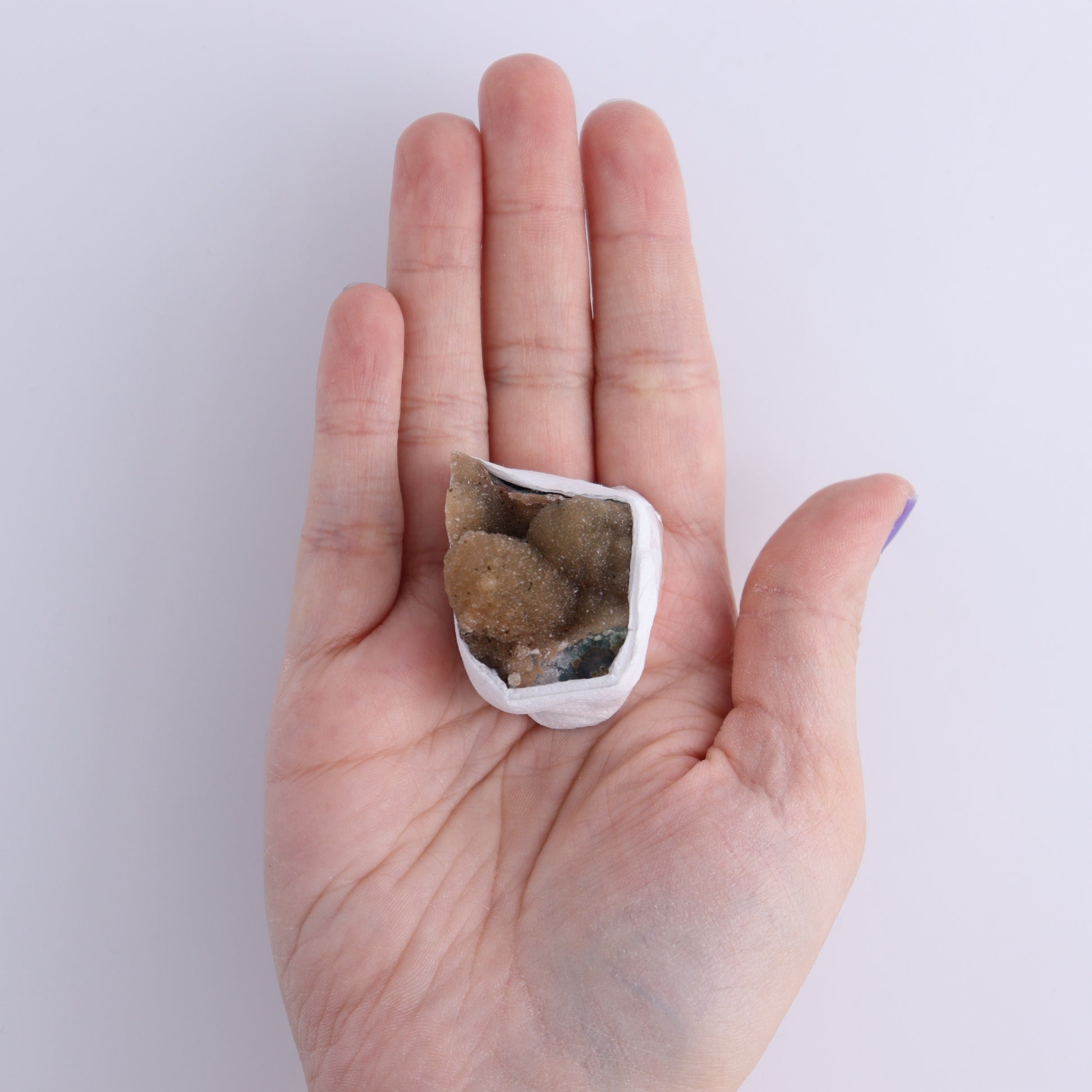 Uruguay Rainbow Amethyst Clusters Flat of 15 - Expert Wholesale and Supplier of Wholesale Crystals & Bulk Gemstones, ["Amethyst","Clusters","Rainbow Amethyst","Sugar Rainbow Amethyst","Uruguay"]