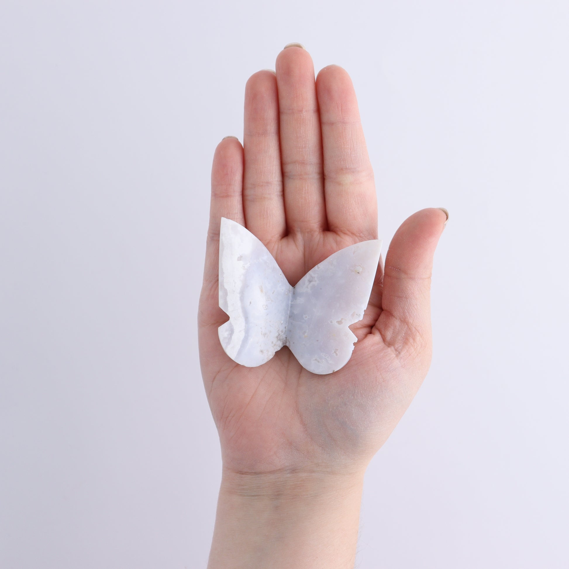 One White Fire Chalcedony Butterfly - Expert Wholesale and Supplier of Wholesale Crystals & Bulk Gemstones, ["Agate","Butterflies","Butterfly","White Fire Agate"]