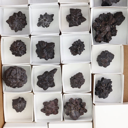 Egyptian Prophecy Stones Flat of 19