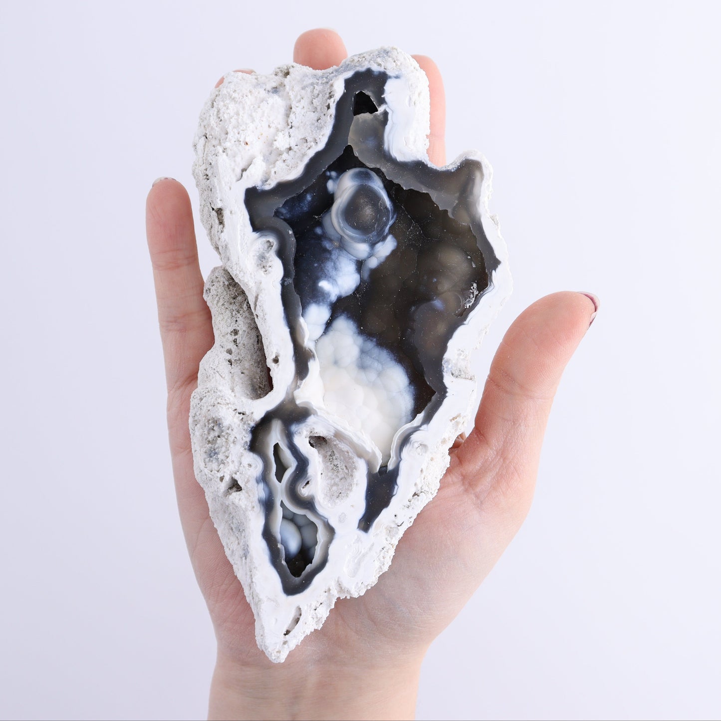 Agatized Coral Flat - Expert Wholesale and Supplier of Wholesale Crystals & Bulk Gemstones, ["Agate","Agatized Coral","Coral","United States"]