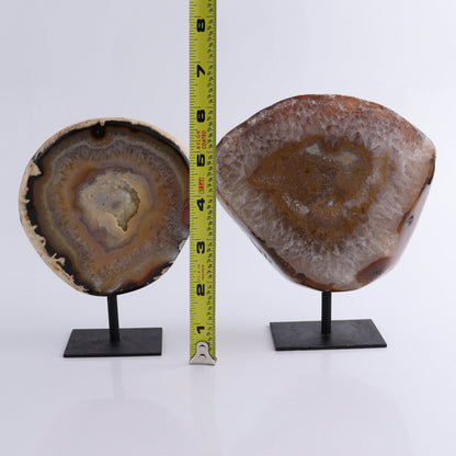 Agate on Pins Set of 4 - Expert Wholesale and Supplier of Wholesale Crystals & Bulk Gemstones, ["Agate","Brazil","close_50","On Pins"]