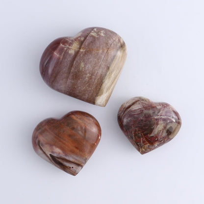 Petrified Wood Freeforms Set of 21