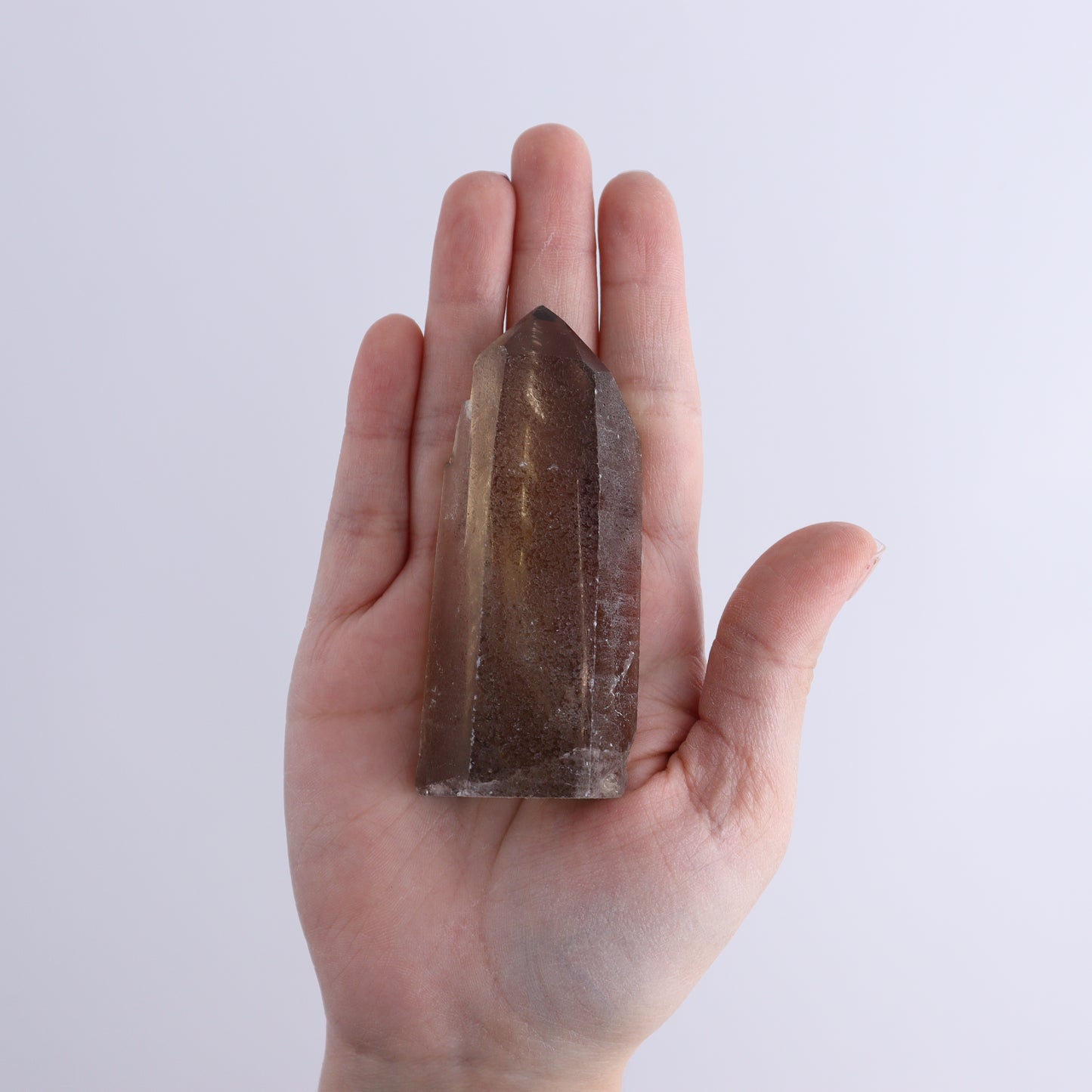 Smoky Quartz Polished Tops Set of 12 - Expert Wholesale and Supplier of Wholesale Crystals & Bulk Gemstones, ["Brazil","close_70","Points","Quartz","Smoky Quartz"]