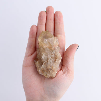 Congo Citrine Set of 12