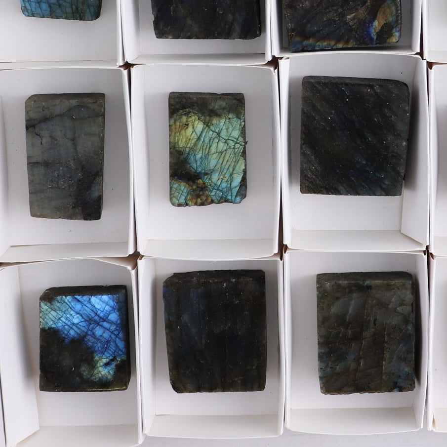 Labradorite Freeform Set of 16