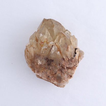 Congo Citrine Set of 6