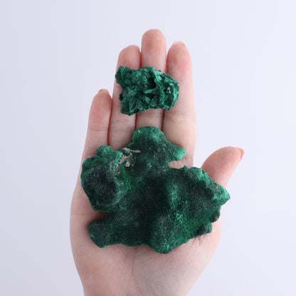 Malachite Freeforms Set of 13 - Expert Wholesale and Supplier of Wholesale Crystals & Bulk Gemstones, ["Freeform","Malachite","South Africa"]