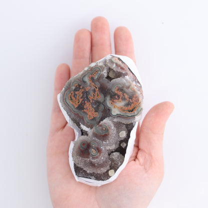 Uruguay Amethyst Clusters with "Eyes" Flat of 7 - Expert Wholesale and Supplier of Wholesale Crystals & Bulk Gemstones, ["Amethyst","Amethyst Eyes","Clusters","Uruguay"]