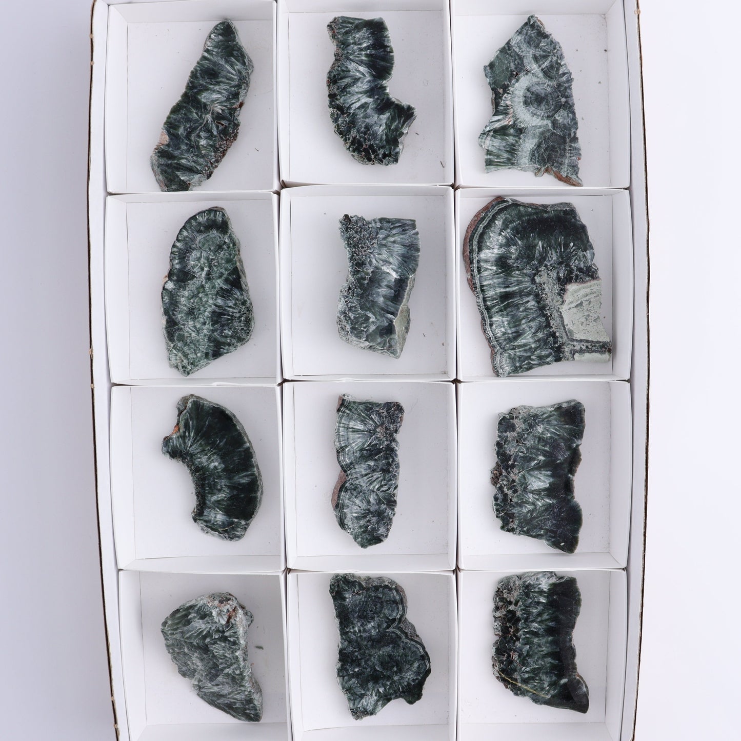 Seraphinite Slices Set of 12 - Expert Wholesale and Supplier of Wholesale Crystals & Bulk Gemstones, ["Russia","Seraphinite","Slices and Slabs"]
