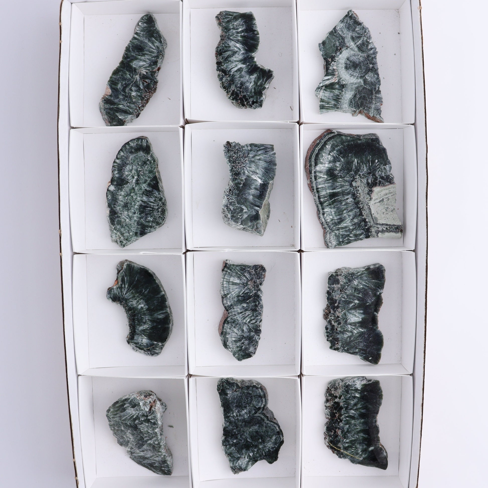 Seraphinite Slices Set of 12 - Expert Wholesale and Supplier of Wholesale Crystals & Bulk Gemstones, ["Russia","Seraphinite","Slices and Slabs"]