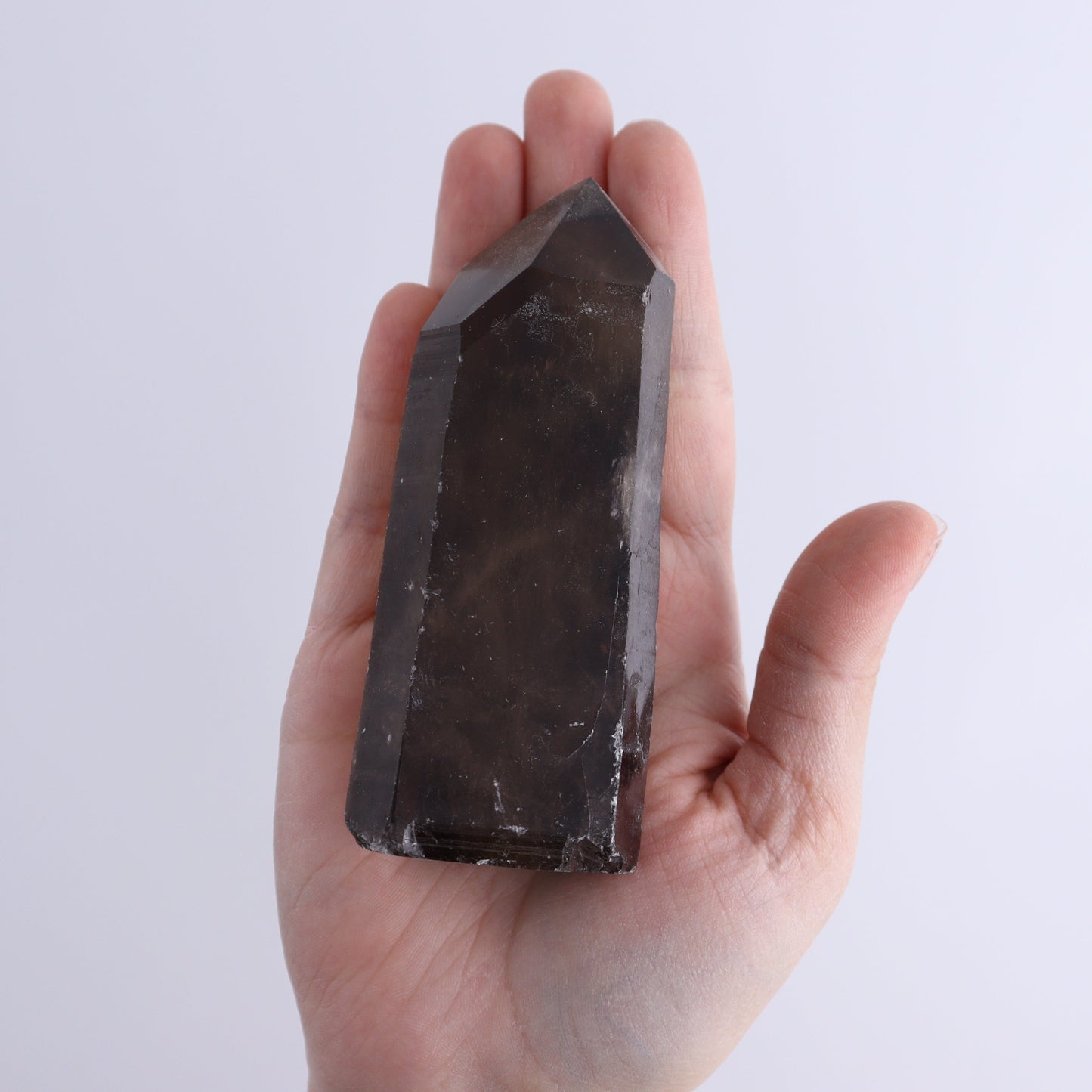 Smoky Quartz Polished Tops Set of 12 - Expert Wholesale and Supplier of Wholesale Crystals & Bulk Gemstones, ["Brazil","close_70","Points","Quartz","Smoky Quartz"]