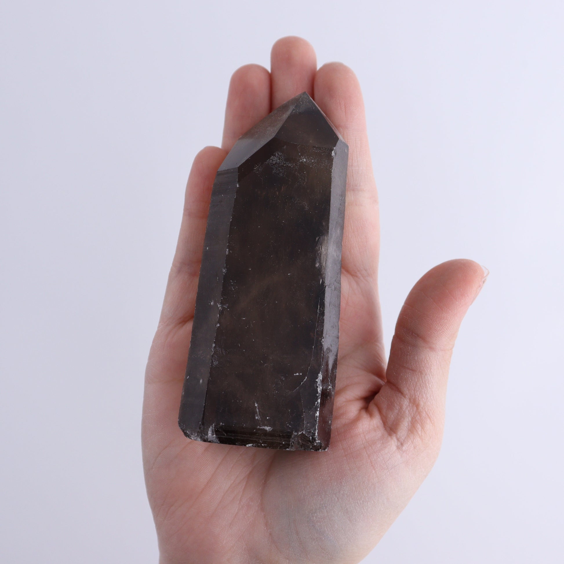 Smoky Quartz Polished Tops Set of 12 - Expert Wholesale and Supplier of Wholesale Crystals & Bulk Gemstones, ["Brazil","close_70","Points","Quartz","Smoky Quartz"]