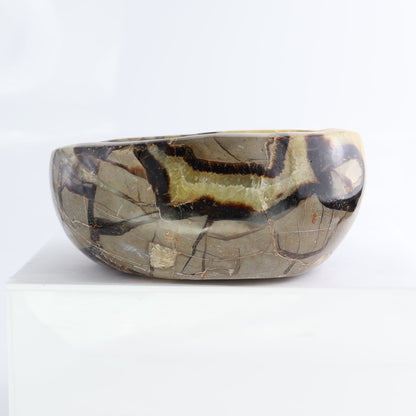 Septarian Bowl 6" | Mi Esperanza Minerals | Supplier of Crystals and Onyx