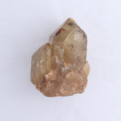 Congo Citrine Set of 6