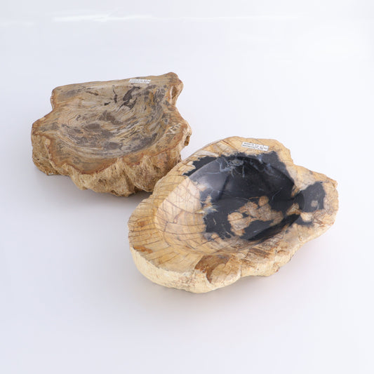 Petrified Wood Bowls Set of 2
